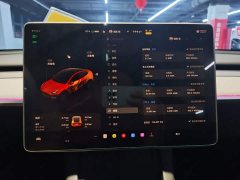 Tesla Model Y Rear-Wheel Drive - ფოტო 12