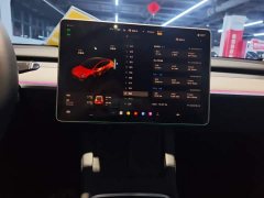 Tesla Model Y Rear-Wheel Drive - ფოტო 13