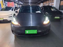Tesla Model Y Rear-Wheel Drive - ფოტო 3