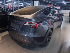 Tesla Model Y Rear-Wheel Drive - ფოტო 7