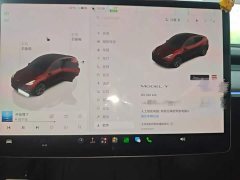 Tesla Model Y 2023 Rear-Wheel Drive - ფოტო 4