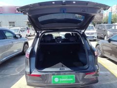 Geely Galaxy E5 610km Explorer Edition - ფოტო 19
