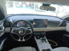BYD Yuan Plus Champion Edition 510KM Leading - ფოტო 10