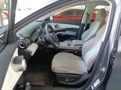 BYD Yuan Plus Champion Edition 510KM Leading - ფოტო 15