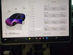 Tesla Model Y Long Range All-Wheel Drive - ფოტო 12