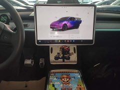 Tesla Model Y Long Range All-Wheel Drive - ფოტო 13