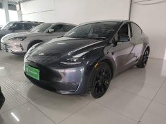 Tesla Model Y Long Range All-Wheel Drive - ფოტო 2