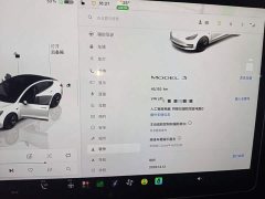 Tesla Model 3 Rear-Wheel Drive - ფოტო 12