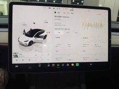 Tesla Model 3 Rear-Wheel Drive - ფოტო 13
