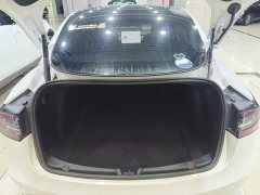 Tesla Model 3 Rear-Wheel Drive - ფოტო 19