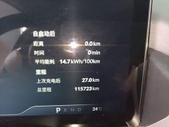 XPeng P5 2021 550E - ფოტო 12