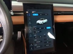 XPeng P5 2021 550E - ფოტო 13
