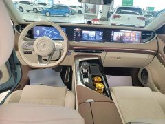 Voyah Lantu FREE 2021 Four-Wheel Drive Standard Extended Range Exclusive Luxury Package - ფოტო 10