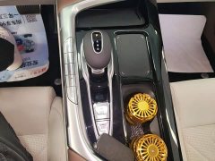 Voyah Lantu FREE 2021 Four-Wheel Drive Standard Extended Range Exclusive Luxury Package - ფოტო 14