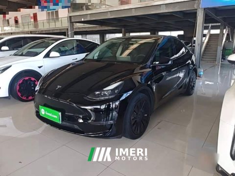 2022 Tesla Model Y 2021 Standard Range RWD - ავტომობილი ჩინეთიდან