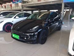 Tesla Model Y 2021 Standard Range RWD - ფოტო 2