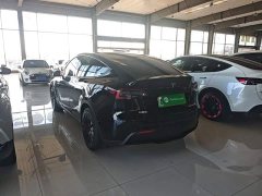 Tesla Model Y 2021 Standard Range RWD - ფოტო 5