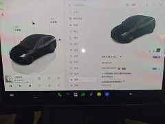 Tesla Model Y Rear-Wheel Drive - ფოტო 12
