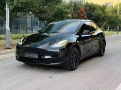 Tesla Model Y Rear-Wheel Drive - ფოტო 2