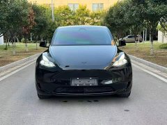 Tesla Model Y Rear-Wheel Drive - ფოტო 3