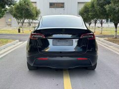 Tesla Model Y Rear-Wheel Drive - ფოტო 6