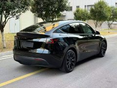 Tesla Model Y Rear-Wheel Drive - ფოტო 7