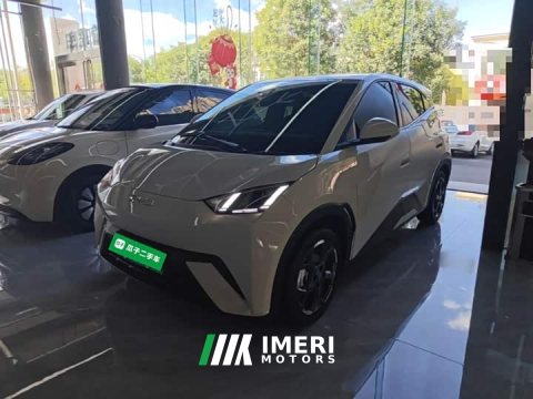 2025 BYD Seagull 305km Freedom Edition - ავტომობილი ჩინეთიდან