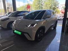 BYD Seagull 305km Freedom Edition - ფოტო 2