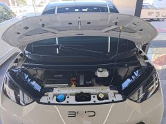 BYD Seagull 305km Freedom Edition - ფოტო 20