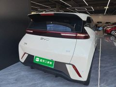 BYD Seagull 305km Freedom Edition - ფოტო 6