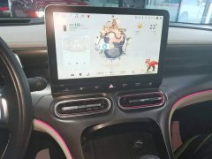 smart #1 Premium - ფოტო 9