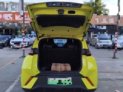 BYD Seagull 2023 Freedom Edition - ფოტო 19