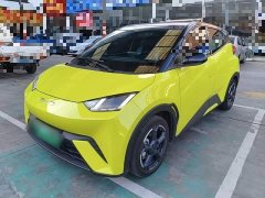 BYD Seagull 2023 Freedom Edition - ფოტო 2