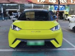 BYD Seagull 2023 Freedom Edition - ფოტო 3