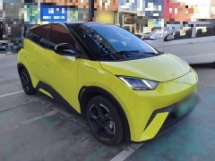 BYD Seagull 2023 Freedom Edition - ფოტო 4
