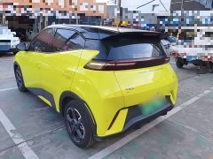 BYD Seagull 2023 Freedom Edition - ფოტო 5