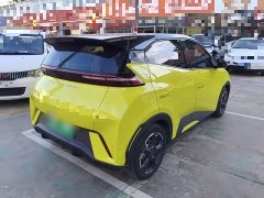 BYD Seagull 2023 Freedom Edition - ფოტო 7