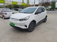 BYD Yuan Pro 2021 401KM Deluxe - ფოტო 2