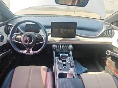BYD Yuan Plus 510KM Flagship - ფოტო 10