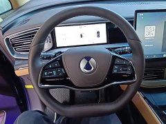 Denza BYD Denza D9 DM-i Smart Drive 1020 AWD Premium - ფოტო 11