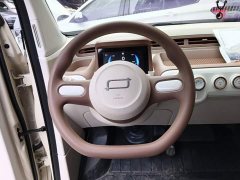 FAW Besturn Xiaoma 222km Agile Edition - ფოტო 11