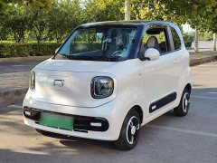 FAW Besturn Xiaoma 170km Vitality Edition - ფოტო 2