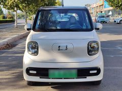 FAW Besturn Xiaoma 170km Vitality Edition - ფოტო 3