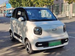 FAW Besturn Xiaoma 170km Vitality Edition - ფოტო 4