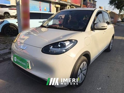 2024 Wuling Binguo 203km Light Enjoy Edition - ავტომობილი ჩინეთიდან