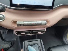 BYD Seagull Glory Edition 405km Flying Edition - ფოტო 14