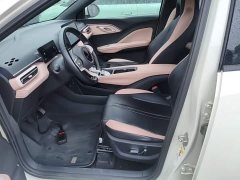 BYD Seagull Glory Edition 405km Flying Edition - ფოტო 15