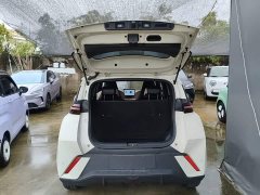 BYD Seagull Glory Edition 405km Flying Edition - ფოტო 19