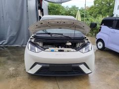 BYD Seagull Glory Edition 405km Flying Edition - ფოტო 20