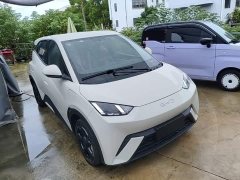 BYD Seagull Glory Edition 405km Flying Edition - ფოტო 4
